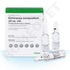 Heel Echinacea compositum ad us. vet. Injection Solution ampoule 5 ml